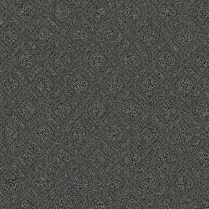 Anderson Tuftex Expressive — In The Shade · ZZ273-00557 — flooring selection with LeviArs Design & Remodeling