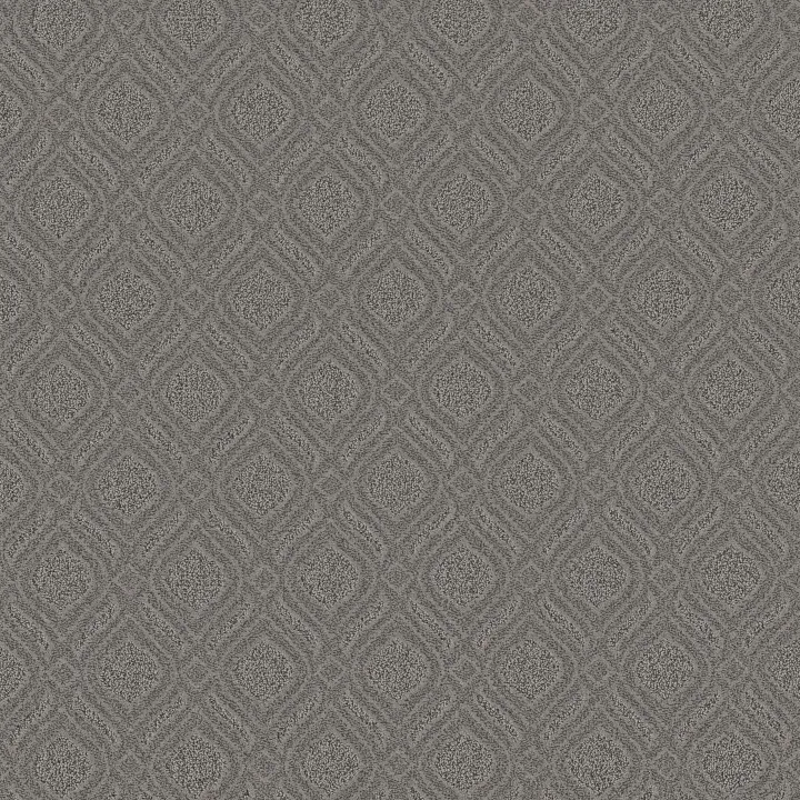 Anderson Tuftex Expressive — Lunar · ZZ273-00555 — flooring selection with LeviArs Design & Remodeling
