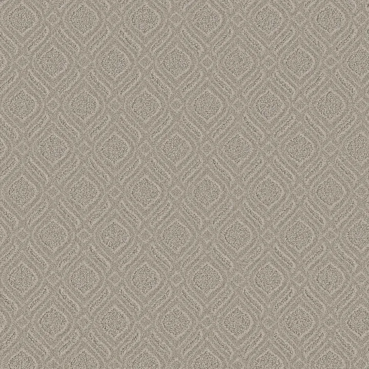 Anderson Tuftex Expressive — Sentimental · ZZ273-00571 — flooring selection with LeviArs Design & Remodeling