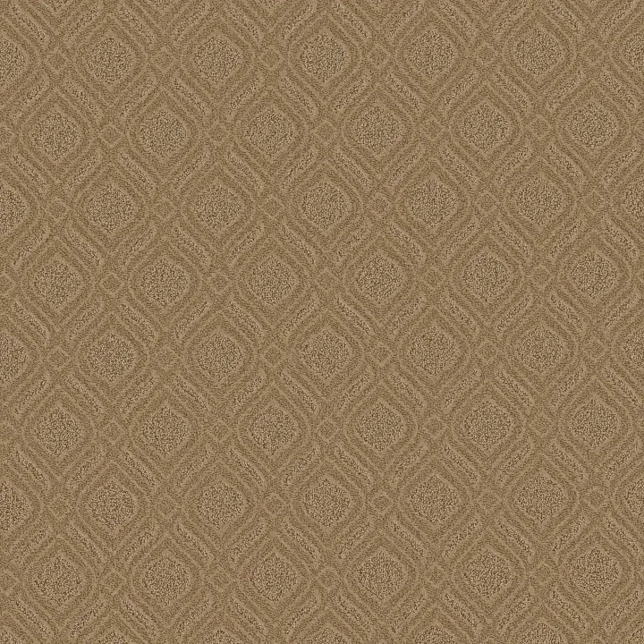 Anderson Tuftex Expressive — Summerwood · ZZ273-00225 — flooring selection with LeviArs Design & Remodeling