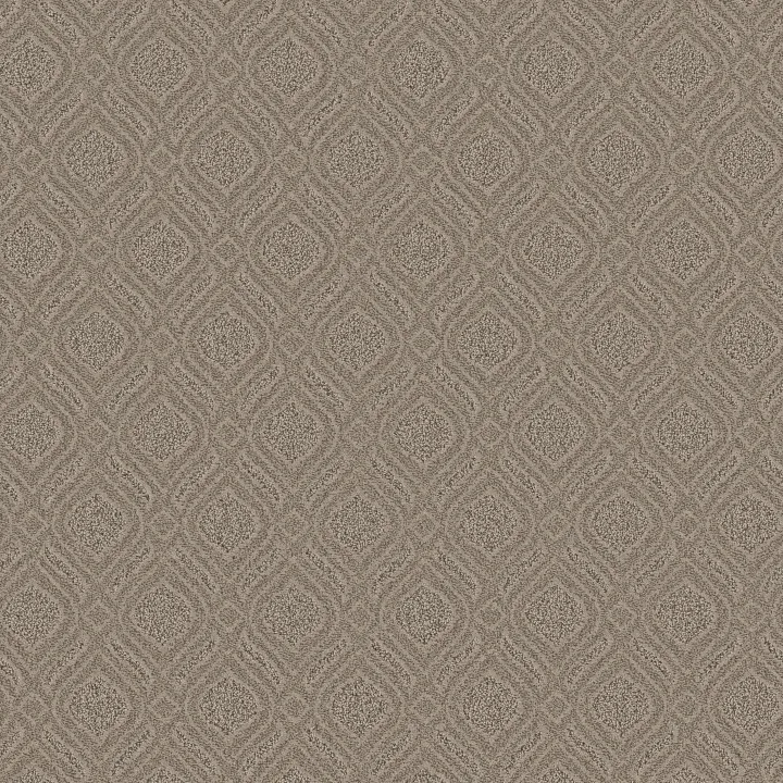 Anderson Tuftex Expressive — Toasty Gray · ZZ273-00573 — flooring selection with LeviArs Design & Remodeling