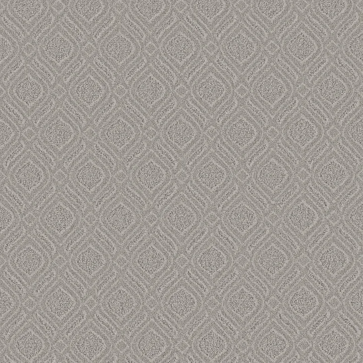 Anderson Tuftex Expressive — White Metal · ZZ273-00551 — flooring selection with LeviArs Design & Remodeling