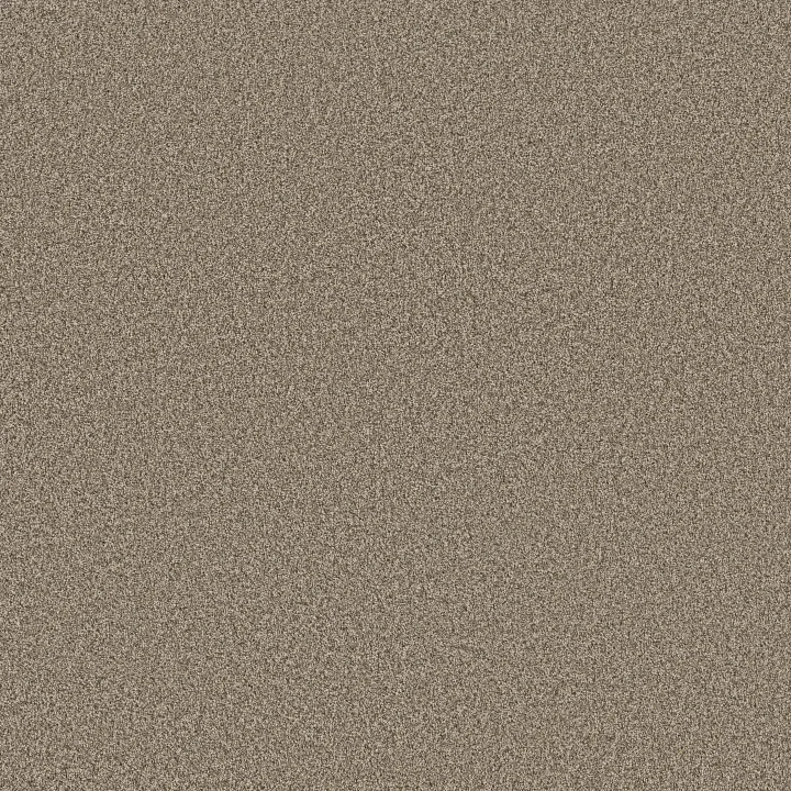 Anderson Tuftex Fabulous — Chic Taupe · ZZ280-00753 — flooring selection with LeviArs Design & Remodeling