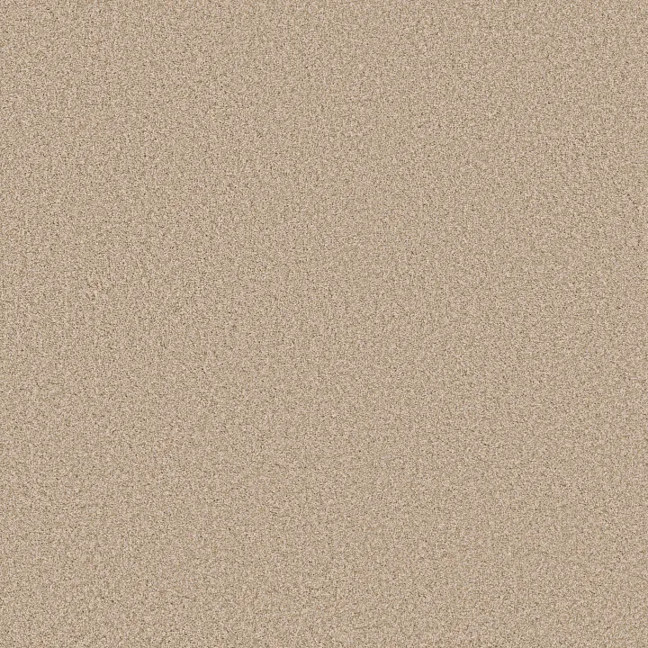 Anderson Tuftex Fabulous — Down Home · ZZ280-00161 — flooring selection with LeviArs Design & Remodeling