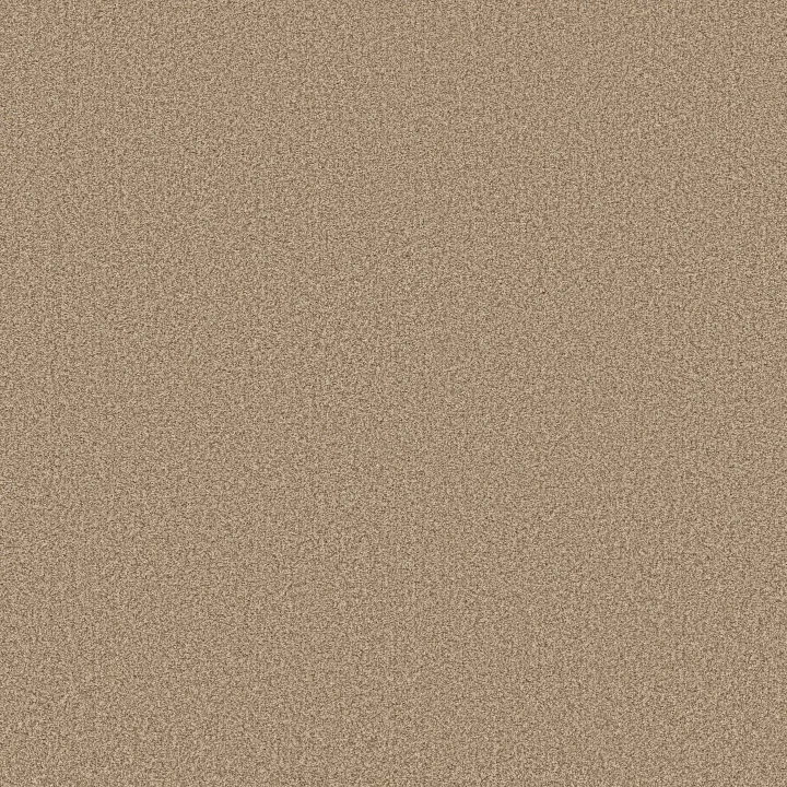 Anderson Tuftex Fabulous — Filtered Moon · ZZ280-00162 — flooring selection with LeviArs Design & Remodeling