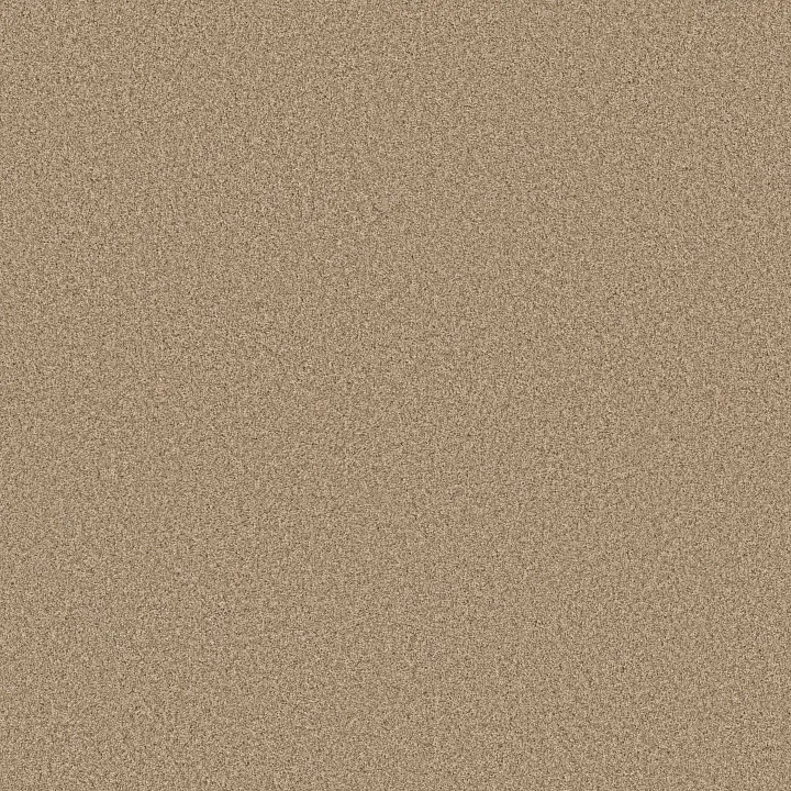 Anderson Tuftex Fabulous — Golden · ZZ280-00224 — flooring selection with LeviArs Design & Remodeling