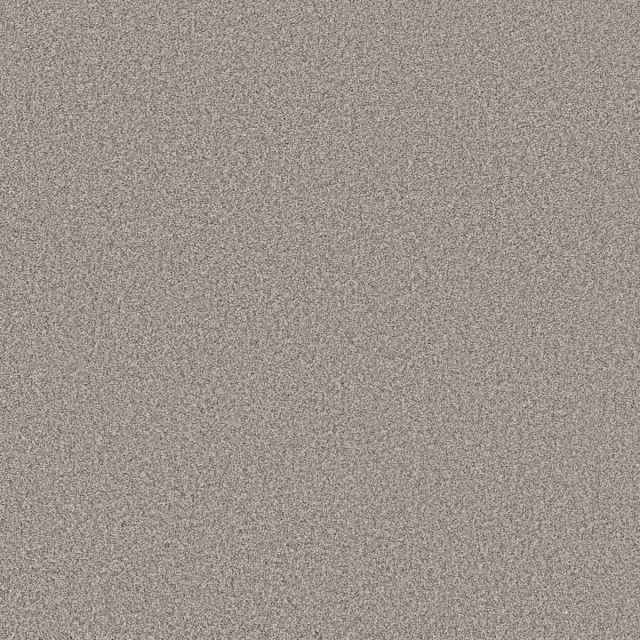 Anderson Tuftex Fabulous — Moth Gray · ZZ280-00551 — flooring selection with LeviArs Design & Remodeling