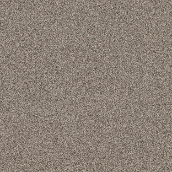 Anderson Tuftex Fabulous — Pashmina · ZZ280-00754 — flooring selection with LeviArs Design & Remodeling