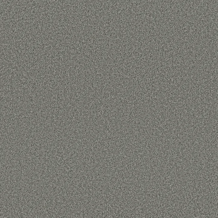 Anderson Tuftex Fabulous — Pixel · ZZ280-00544 — flooring selection with LeviArs Design & Remodeling