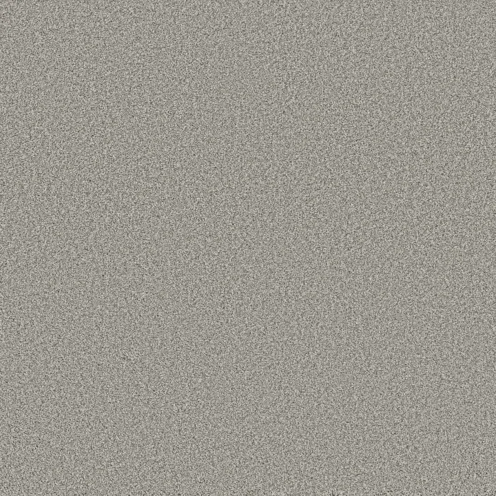 Anderson Tuftex Fabulous — Platinum · ZZ280-00552 — flooring selection with LeviArs Design & Remodeling