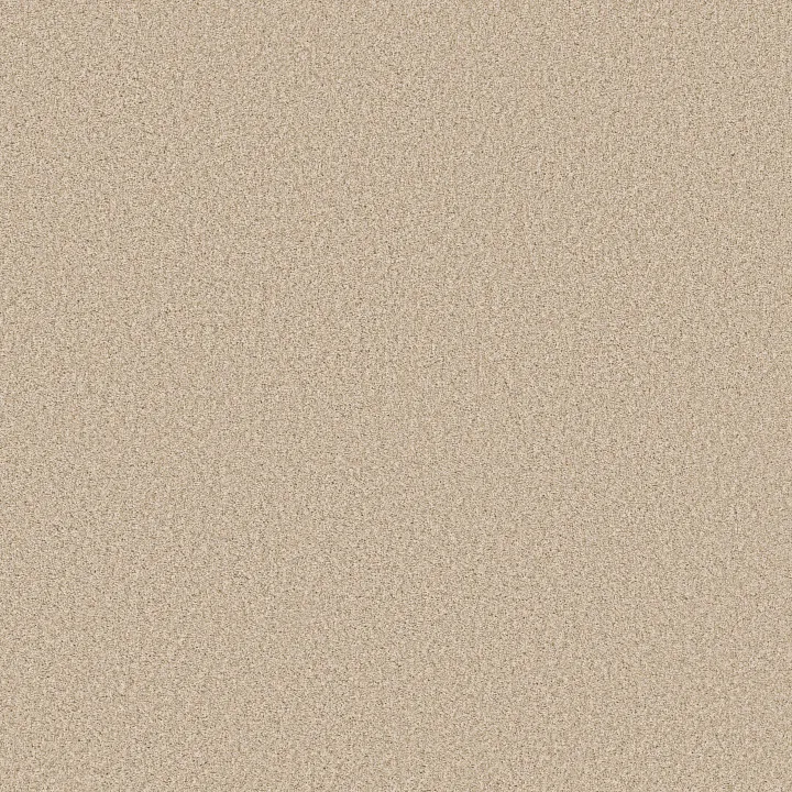 Anderson Tuftex Fabulous — Risotto · ZZ280-00121 — flooring selection with LeviArs Design & Remodeling