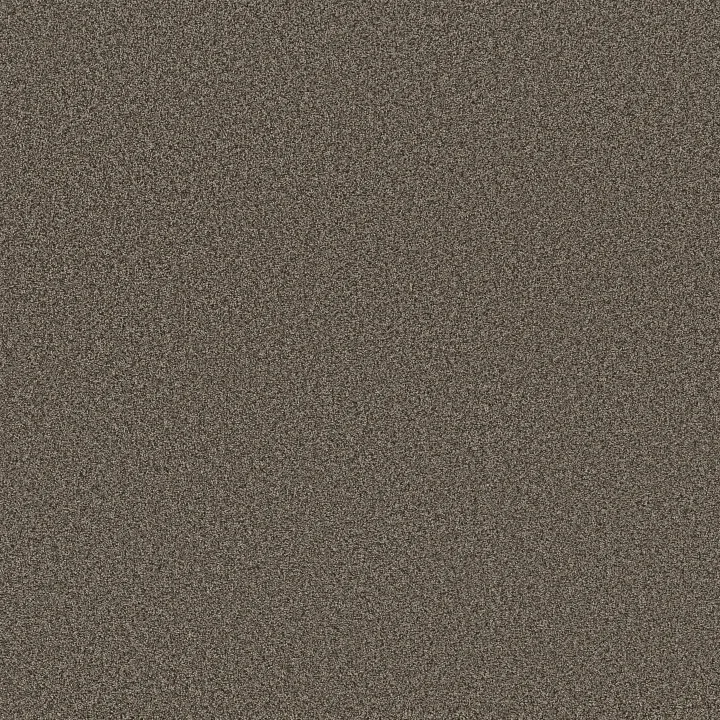 Anderson Tuftex Fabulous — Sable · ZZ280-00756 — flooring selection with LeviArs Design & Remodeling