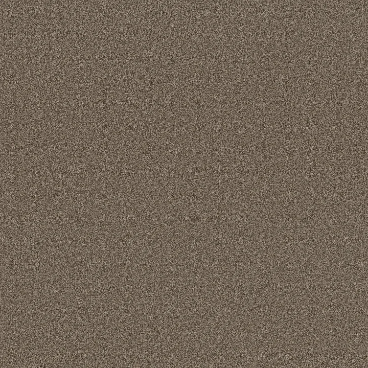 Anderson Tuftex Fabulous — Smokehouse · ZZ280-00776 — flooring selection with LeviArs Design & Remodeling