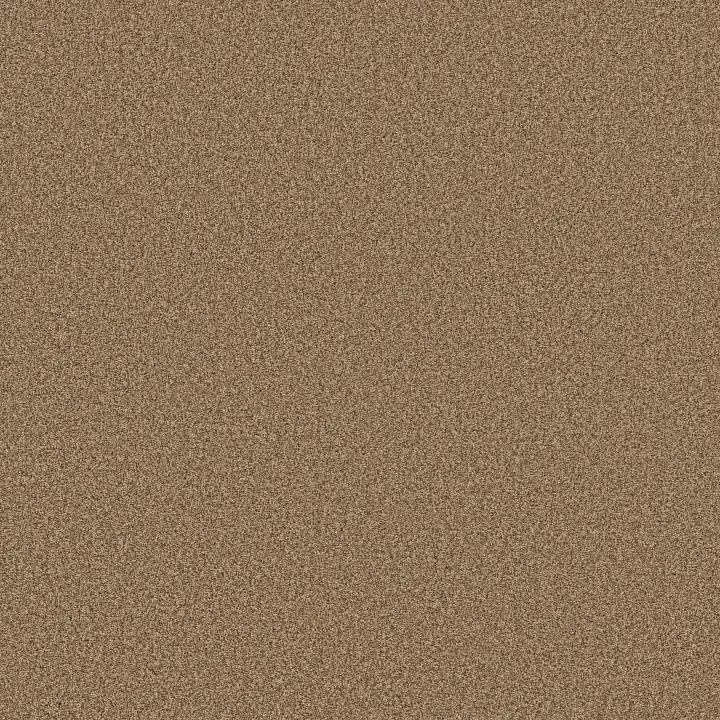 Anderson Tuftex Fabulous — Toasty · ZZ280-00275 — flooring selection with LeviArs Design & Remodeling