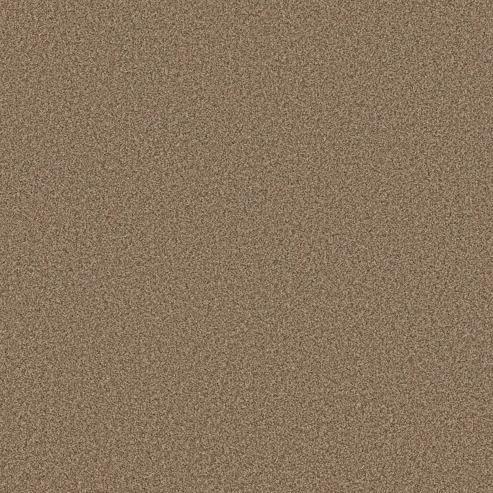Anderson Tuftex Fabulous — Toffee · ZZ280-00763 — flooring selection with LeviArs Design & Remodeling