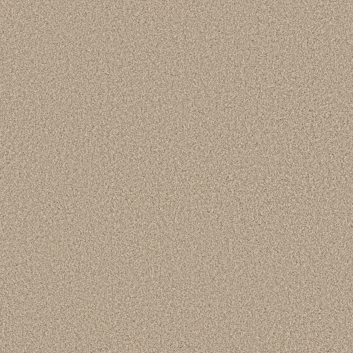 Anderson Tuftex Fabulous — Utterly Beige · ZZ280-00171 — flooring selection with LeviArs Design & Remodeling