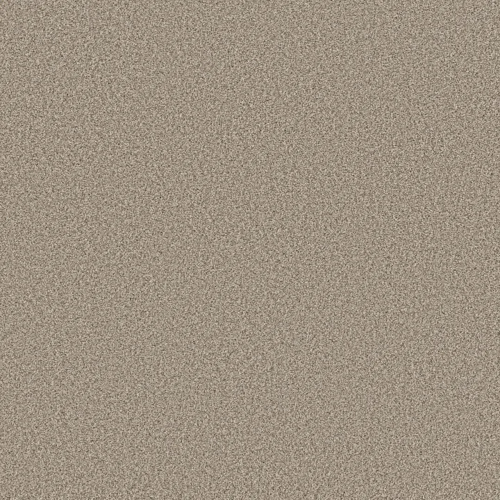 Anderson Tuftex Fabulous — White Mocha · ZZ280-00151 — flooring selection with LeviArs Design & Remodeling