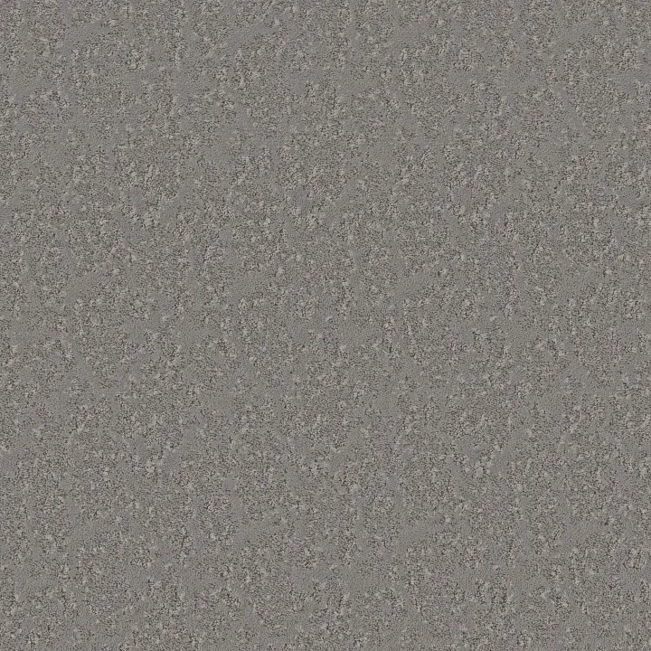 Anderson Tuftex Fancy That — Eclipse · ZZ270-00543 — flooring selection with LeviArs Design & Remodeling