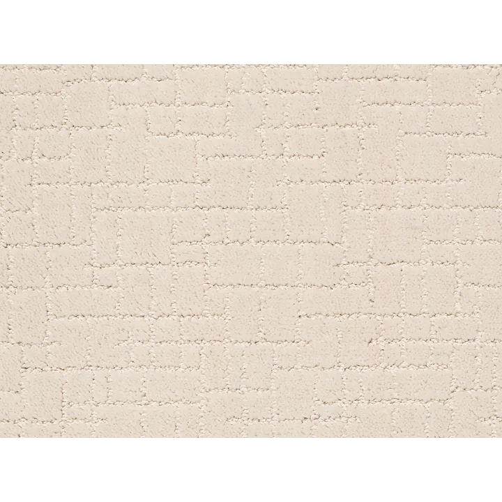 Anderson Tuftex Faux Paw — Barely Beige · ZZ084-00111 — flooring selection with LeviArs Design & Remodeling