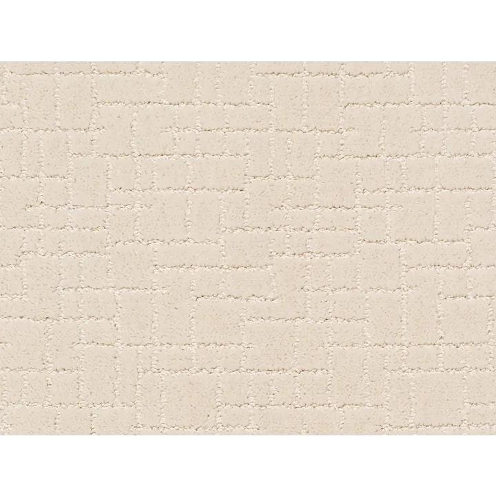 Anderson Tuftex Faux Paw — Capri Coast · ZZ084-00181 — flooring selection with LeviArs Design & Remodeling