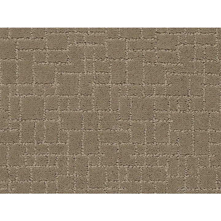 Anderson Tuftex Faux Paw — Driftwood · ZZ084-00712 — flooring selection with LeviArs Design & Remodeling
