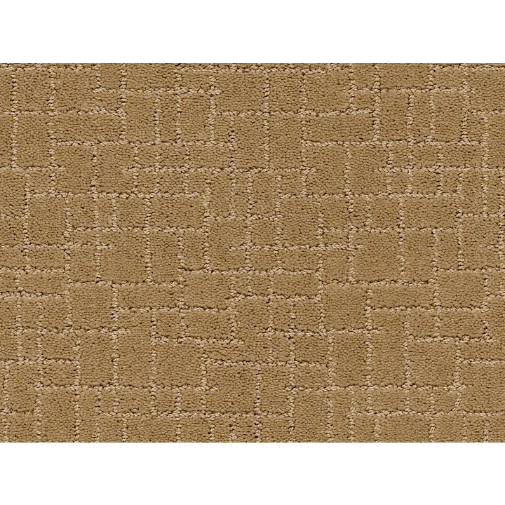Anderson Tuftex Faux Paw — Golden Straw · ZZ084-00224 — flooring selection with LeviArs Design & Remodeling