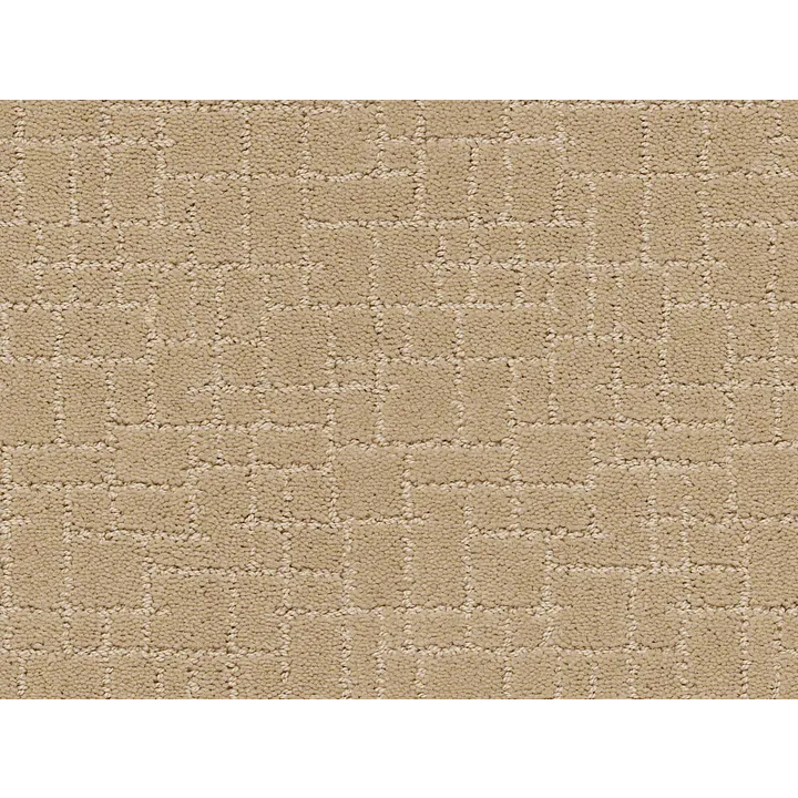 Anderson Tuftex Faux Paw — Monterey · ZZ084-00115 — flooring selection with LeviArs Design & Remodeling