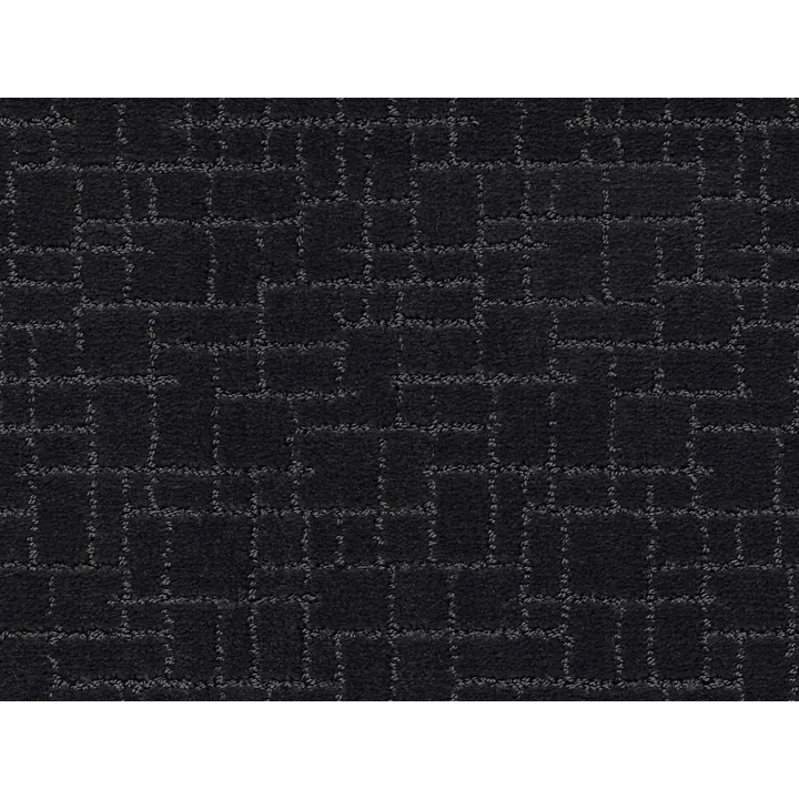 Anderson Tuftex Faux Paw — Night Shade · ZZ084-00558 — flooring selection with LeviArs Design & Remodeling