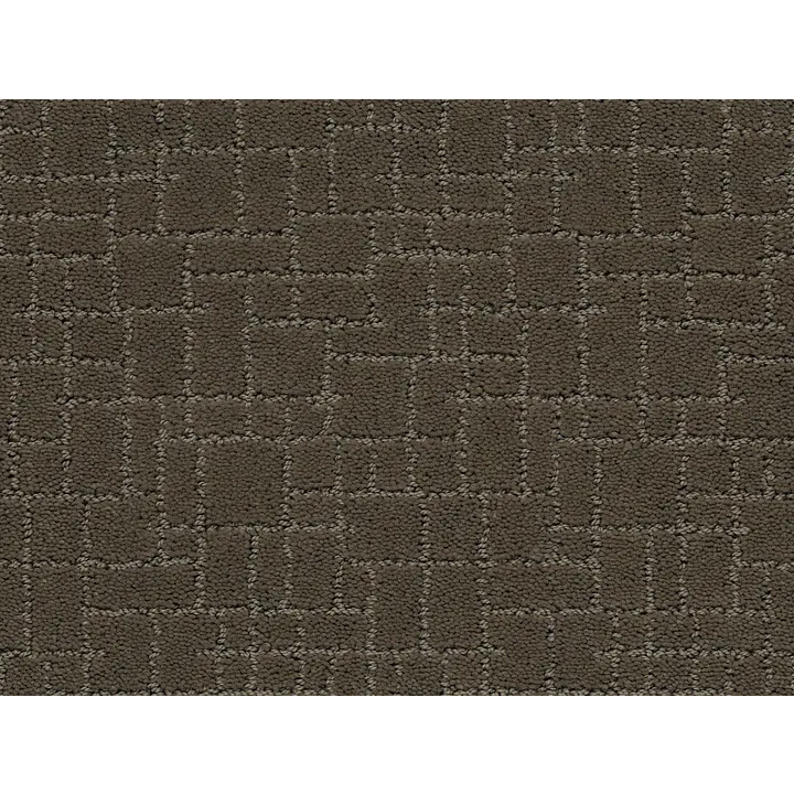 Anderson Tuftex Faux Paw — Overcoat · ZZ084-00716 — flooring selection with LeviArs Design & Remodeling