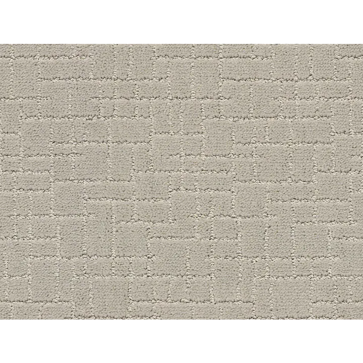 Anderson Tuftex Faux Paw — Silver Fox · ZZ084-00511 — flooring selection with LeviArs Design & Remodeling