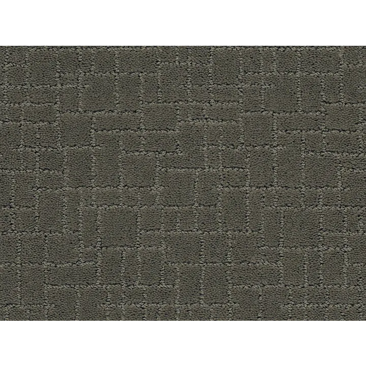 Anderson Tuftex Faux Paw — Smoked Oyster · ZZ084-00576 — flooring selection with LeviArs Design & Remodeling
