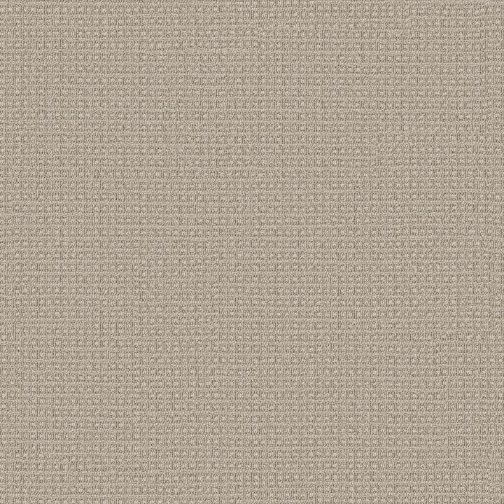 Anderson Tuftex Fetch — Birch · ZZ074-00111 — flooring selection with LeviArs Design & Remodeling