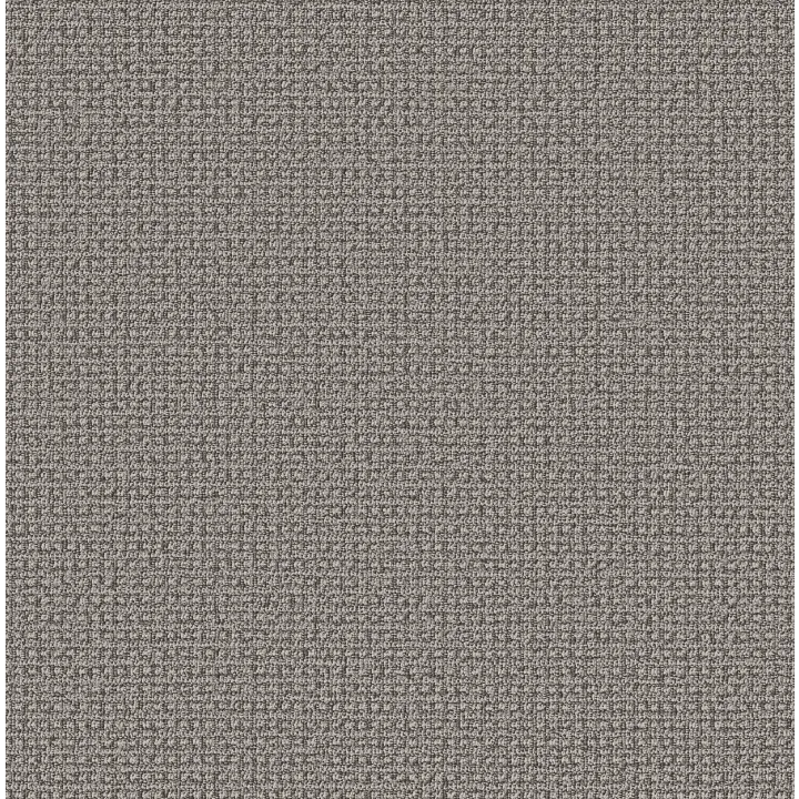 Anderson Tuftex Fetch — Monument · ZZ074-00556 — flooring selection with LeviArs Design & Remodeling