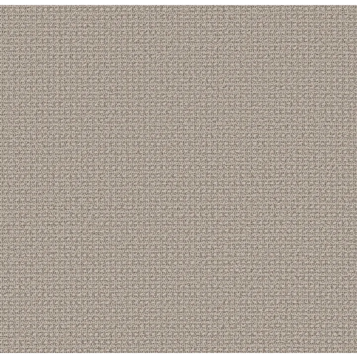 Anderson Tuftex Fetch — Oyster Shell · ZZ074-00511 — flooring selection with LeviArs Design & Remodeling
