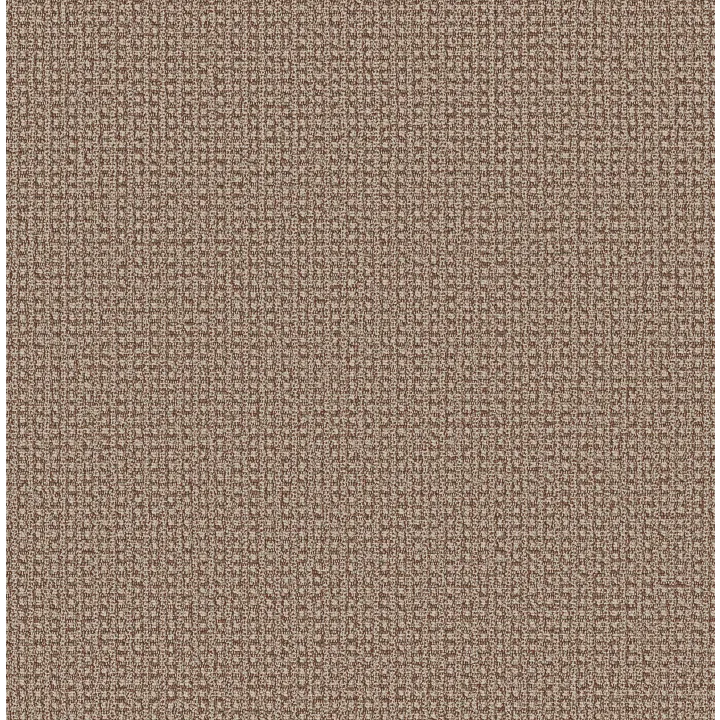 Anderson Tuftex Fetch — Russet · ZZ074-00614 — flooring selection with LeviArs Design & Remodeling