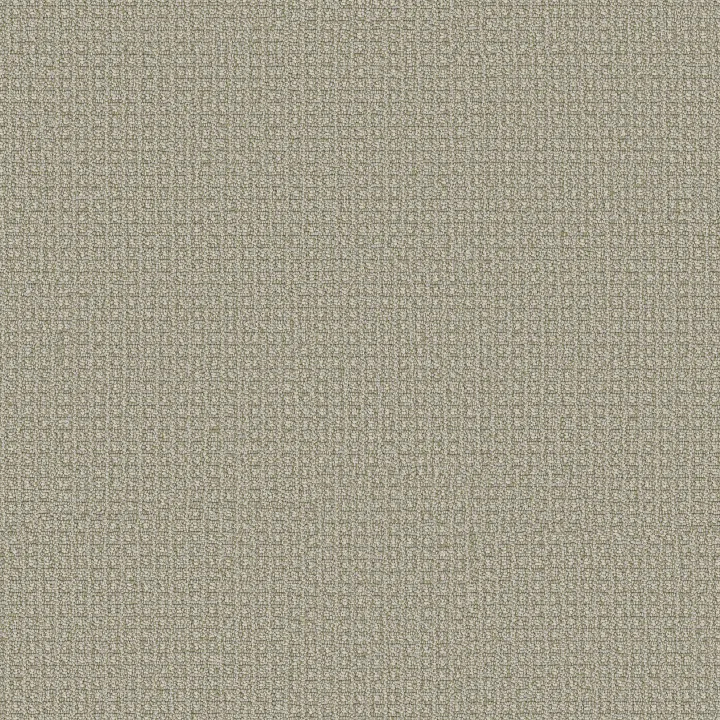 Anderson Tuftex Fetch — Soft Fern · ZZ074-00312 — flooring selection with LeviArs Design & Remodeling