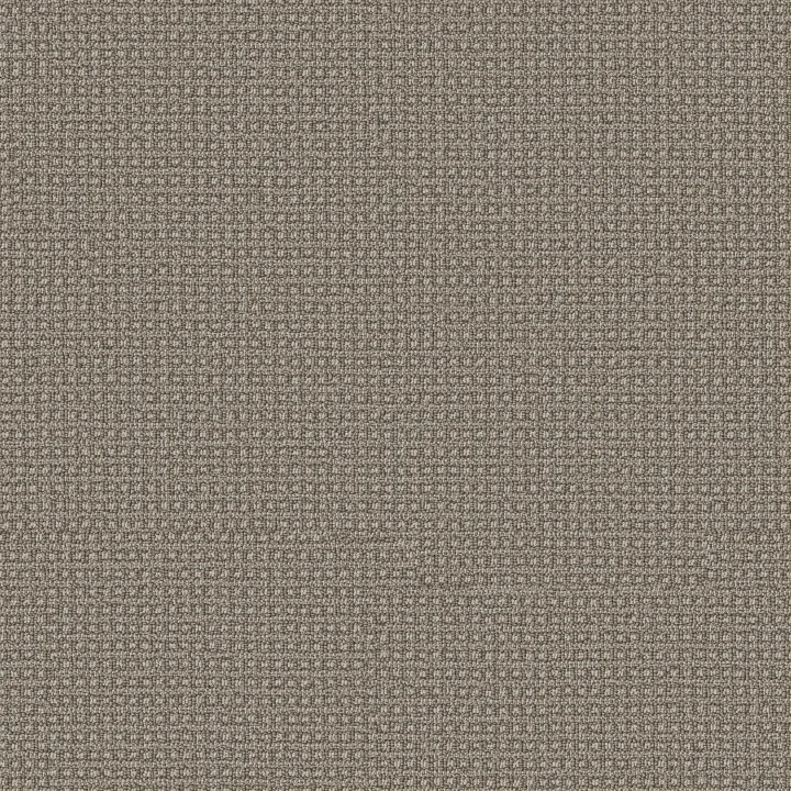 Anderson Tuftex Fetch — Stampede · ZZ074-00753 — flooring selection with LeviArs Design & Remodeling