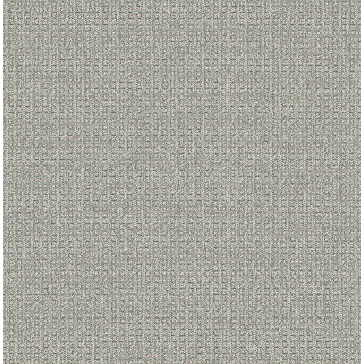 Anderson Tuftex Fetch — Surf Spray · ZZ074-00412 — flooring selection with LeviArs Design & Remodeling