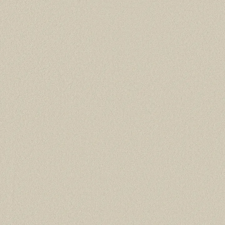 Anderson Tuftex Finery — Alabaster · ZZ351-00152 — flooring selection with LeviArs Design & Remodeling
