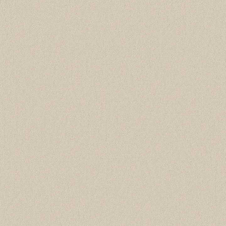 Anderson Tuftex Finery — Arctic Hare · ZZ351-00101 — flooring selection with LeviArs Design & Remodeling