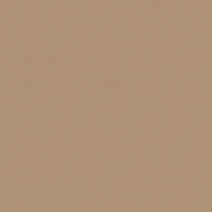 Anderson Tuftex Finery — Baked Beige · ZZ351-00103 — flooring selection with LeviArs Design & Remodeling