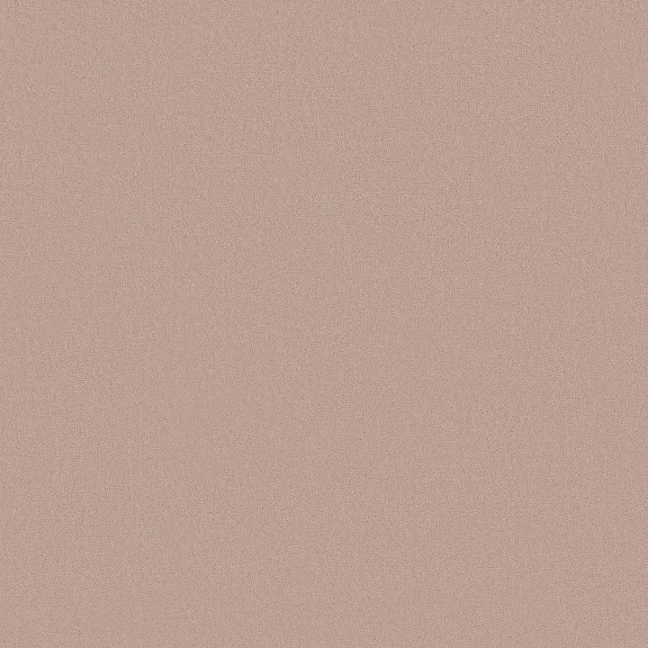 Anderson Tuftex Finery — Blush · ZZ351-00800 — flooring selection with LeviArs Design & Remodeling