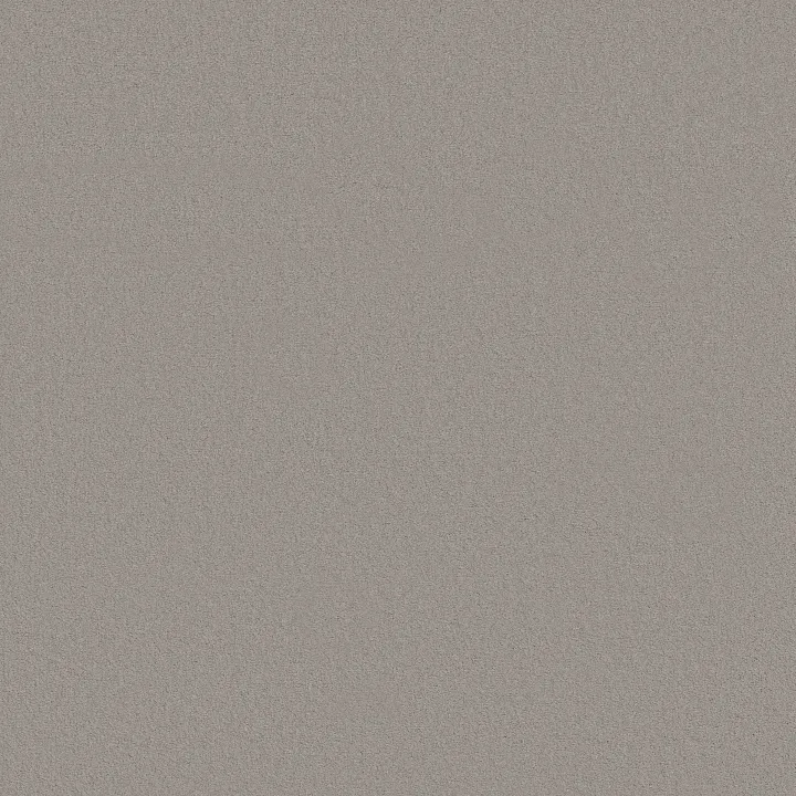 Anderson Tuftex Finery — Concrete · ZZ351-00551 — flooring selection with LeviArs Design & Remodeling