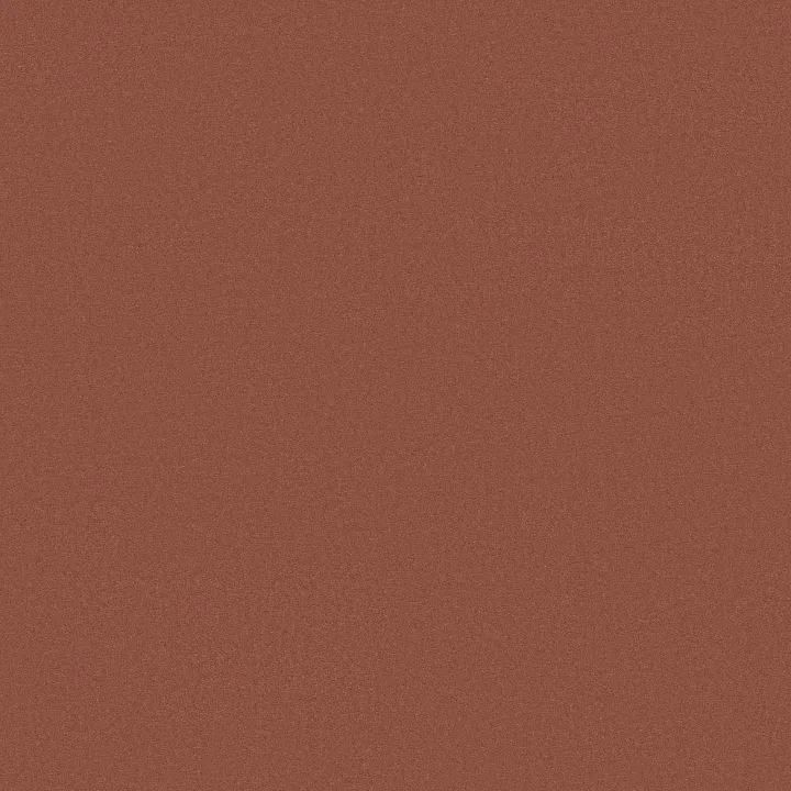 Anderson Tuftex Finery — Coral Reef · ZZ351-00601 — flooring selection with LeviArs Design & Remodeling