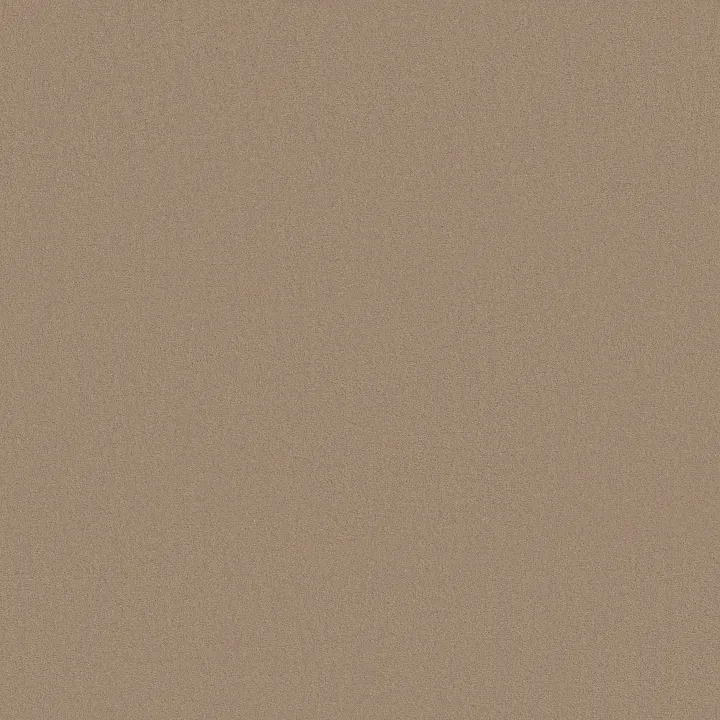 Anderson Tuftex Finery — Desert Dune · ZZ351-00110 — flooring selection with LeviArs Design & Remodeling