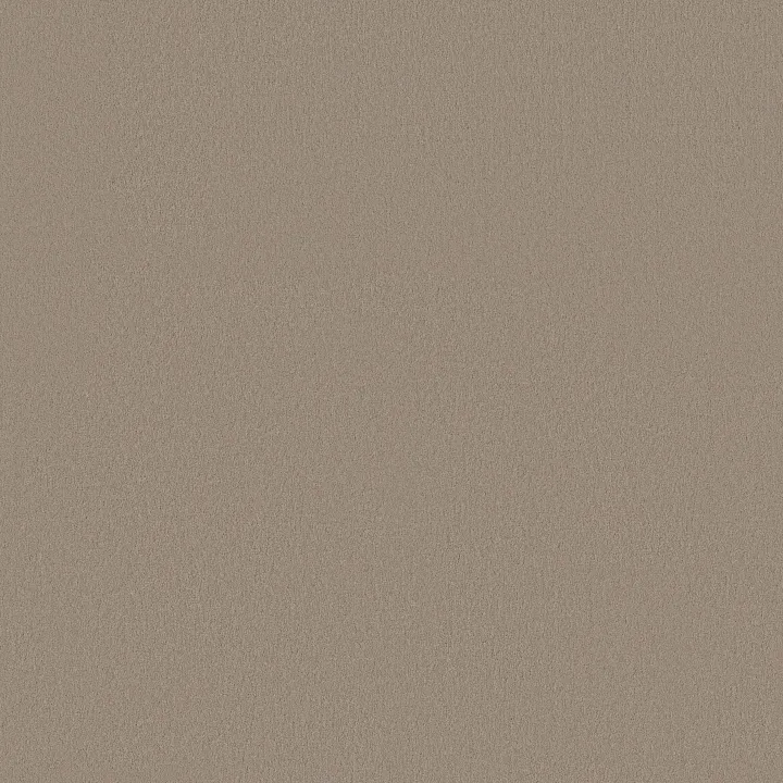 Anderson Tuftex Finery — Dusty Trail · ZZ351-00115 — flooring selection with LeviArs Design & Remodeling