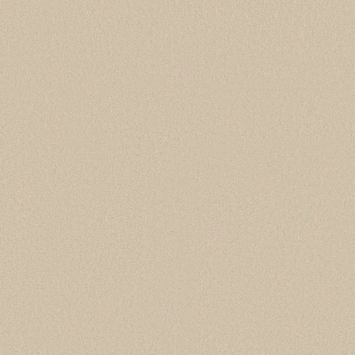 Anderson Tuftex Finery — French Buff · ZZ351-00153 — flooring selection with LeviArs Design & Remodeling