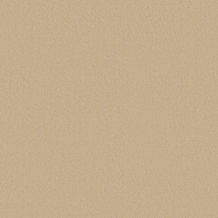 Anderson Tuftex Finery — Fresh Cream · ZZ351-00250 — flooring selection with LeviArs Design & Remodeling
