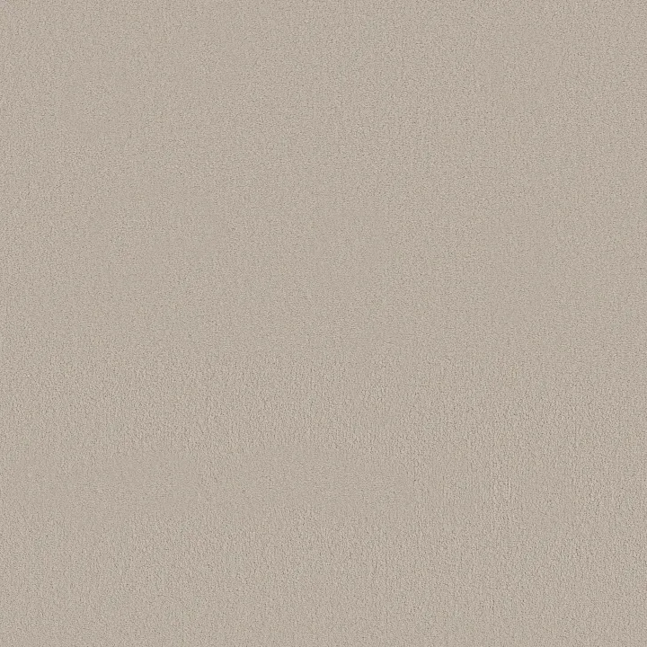 Anderson Tuftex Finery — Ice Formations · ZZ351-00156 — flooring selection with LeviArs Design & Remodeling
