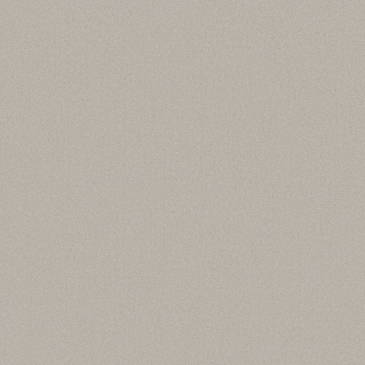 Anderson Tuftex Finery — Mussel · ZZ351-00504 — flooring selection with LeviArs Design & Remodeling